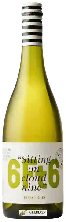 Weingut 6Ft6 (Six Foot Six) - Pinot Gris