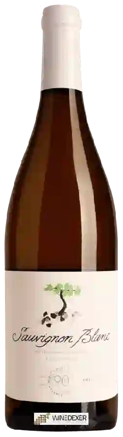 Weingut 90+ Cellars - Lot 151 Sauvignon Blanc