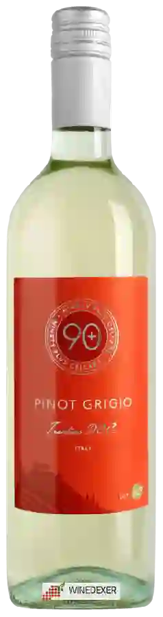 Weingut 90+ Cellars - Lot 42 Pinot Grigio
