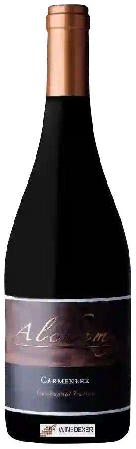 Weingut Alchemy - Carmenere
