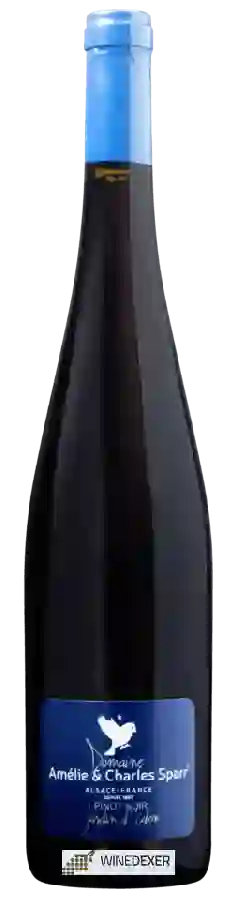 Domaine Amélie & Charles Sparr - Jardin d'Eden Pinot Noir Domaine Amélie & Charles Sparr - Jardin d'Eden Pinot Noir