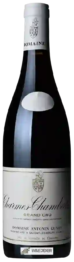 Domaine Antonin Guyon - Charmes-Chambertin Grand Cru