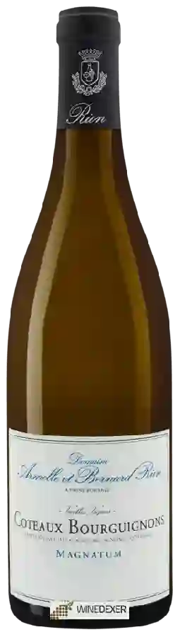 Domaine Armelle et Bernard Rion - Cuvée Magnatum Vieilles Vignes Coteaux Bourguignons