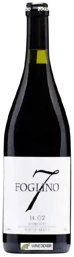 Weingut Azienda Agricola Foglino 7 - 14.02 Pinot Nero