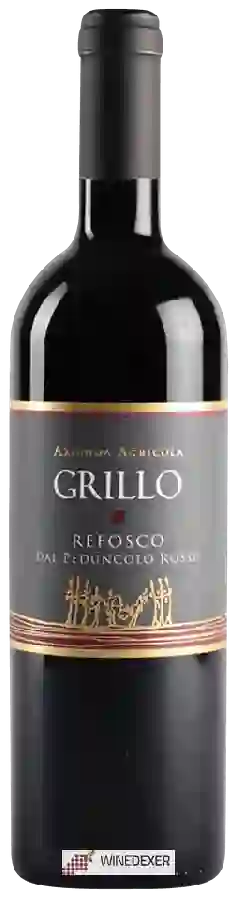 Weingut Azienda Agricola Grillo - Refosco dal Peduncolo Rosso