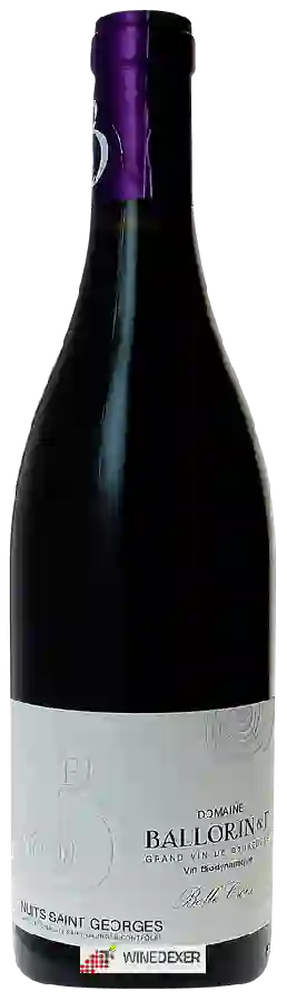 Domaine Ballorin - Belle Croix Nuits-Saint-Georges Domaine Ballorin - Belle Croix Nuits-Saint-Georges