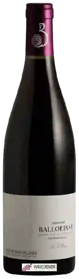 Domaine Ballorin - Côte de Nuits Villages 'Le Village'