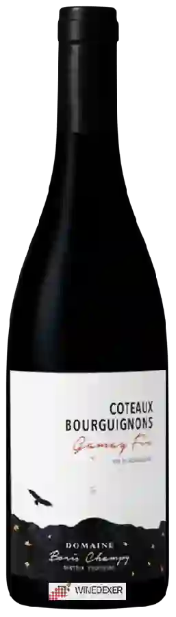 Domaine Boris Champy - Gamay Fin Coteaux Bourguignons