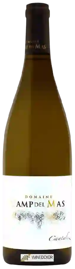 Domaine Camp del Mas - Cantaluz