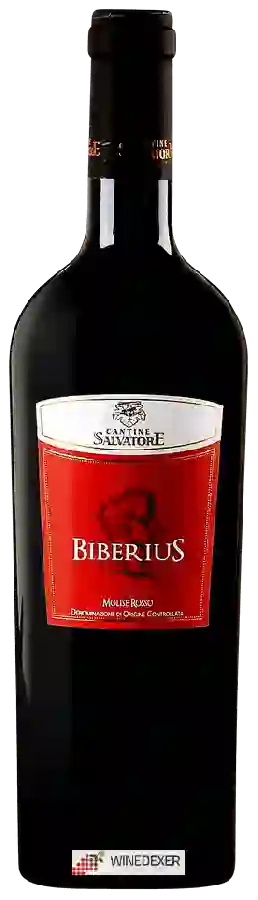 Weingut Cantine Salvatore - Biberius Molise Rosso