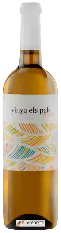 Weingut Celler 9+ - Vinya Els Pals Viognier
