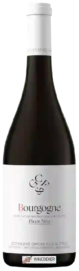 Domaine Christian Gros - Bourgogne Pinot Noir Domaine Christian Gros - Bourgogne Pinot Noir