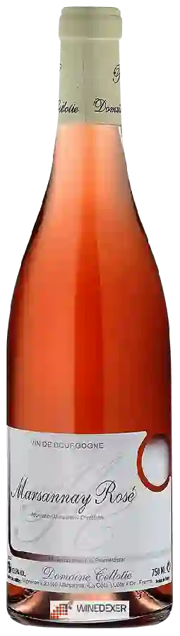 Domaine Collotte - Marsannay Rosé Domaine Collotte - Marsannay Rosé