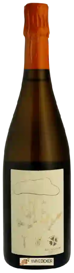 Domaine de Bellivière - Les P'tits Vélos