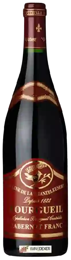 Domaine de la Chanteleuserie - Cabernet Franc Bourgueil