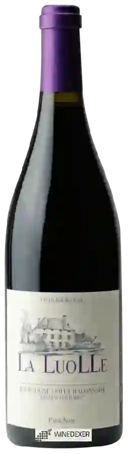 Domaine de La Luolle - Bourgogne C&ocircte Chalonnaise 'Les Oiseaux Rares' Pinot Noir