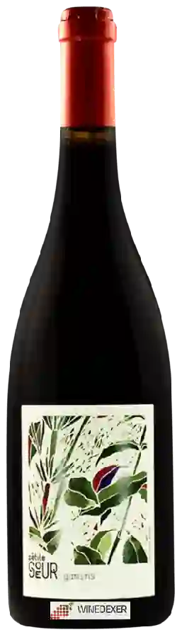 Domaine de la Petite Soeur - Adrien de Mello - Gamins Domaine de la Petite Soeur - Adrien de Mello - Gamins