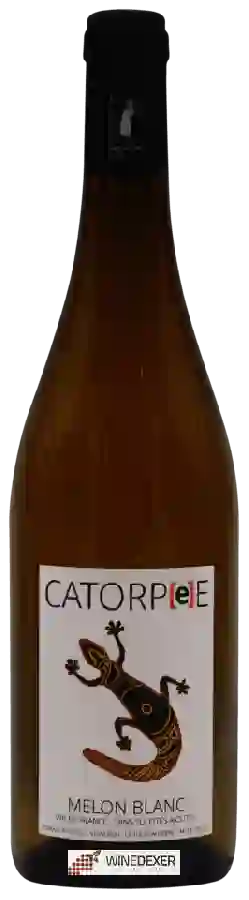 Domaine de la Tourlaudière - Catorpee Melon Blanc