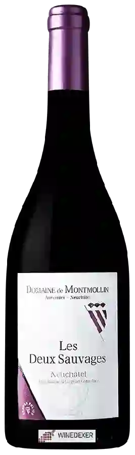 Domaine de Montmollin - Les Deux Sauvages