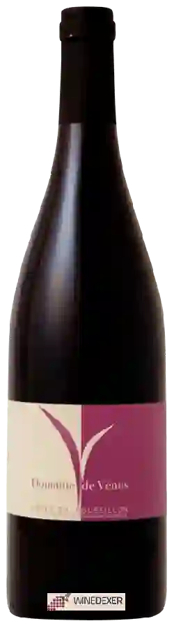 Domaine de Vénus - Tentations Côtes du Roussillon