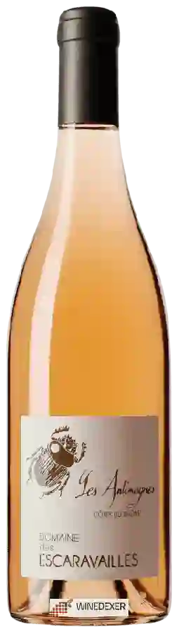 Domaine des Escaravailles - Les Antimagnes Côtes du Rhône Rosé