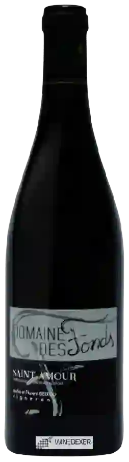 Domaine des Fonds - Saint-Amour