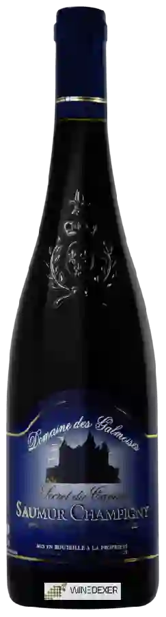 Domaine des Galmoises - Secret du Caveau Saumur-Champigny