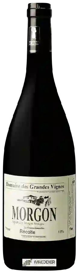 Domaine des Grandes Vignes - Morgon Domaine des Grandes Vignes - Morgon