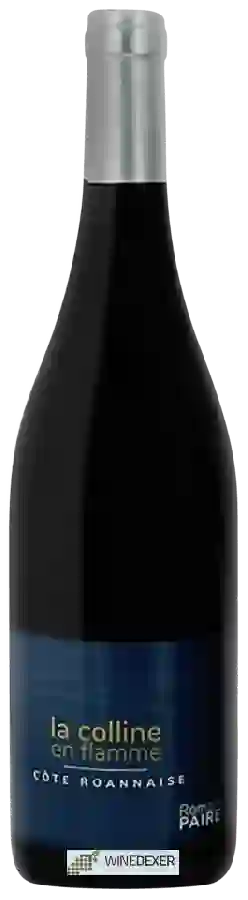 Domaine des Pothiers - Romain Paire Côte Roannaise La Colline En Flamme