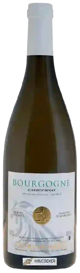 Weingut Desbois-Marie - Bourgogne Chardonnay