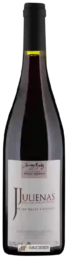 Domaine du Bois de Chat - Julienas
