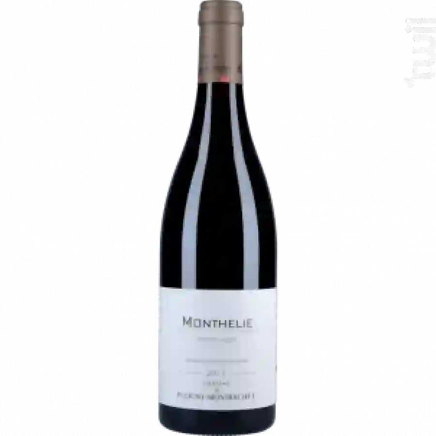 Château de Puligny Montrachet - Pinot Noir Bourgogne