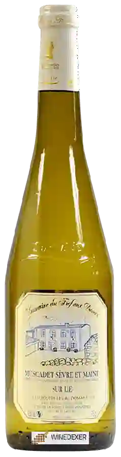 Domaine du Fief Aux Dames - Muscadet Sèvre et Maine Sur Lie