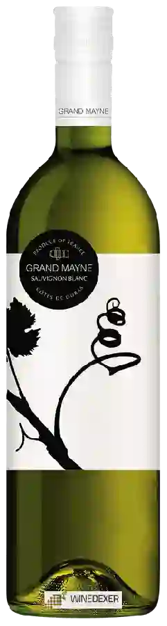 Domaine du Grand Mayne - Sauvignon Blanc