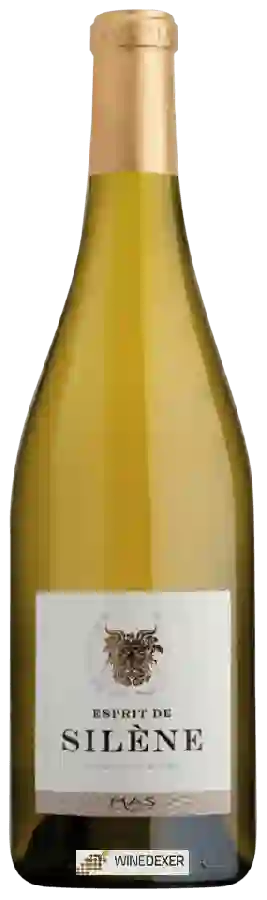 Domaine Silène des Peyrals - Esprit de Silène Blanc