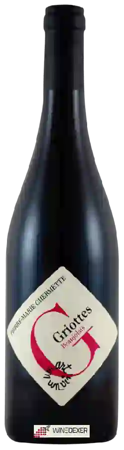 Martine et Pierre Marie Chermette - Domaine du Vissoux - Les Griottes Beaujolais Rouge