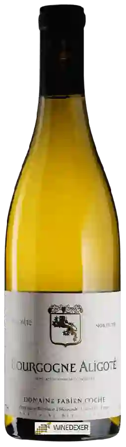 Domaine Fabien Coche (Domaine Coche-Bizouard) - Bourgogne Aligoté