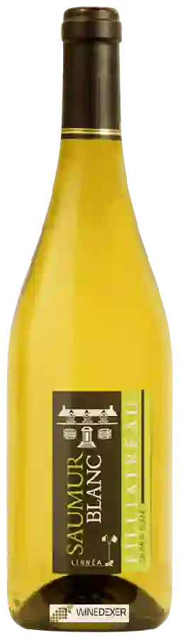 Weingut Filliatreau - Linnéa Saumur Blanc