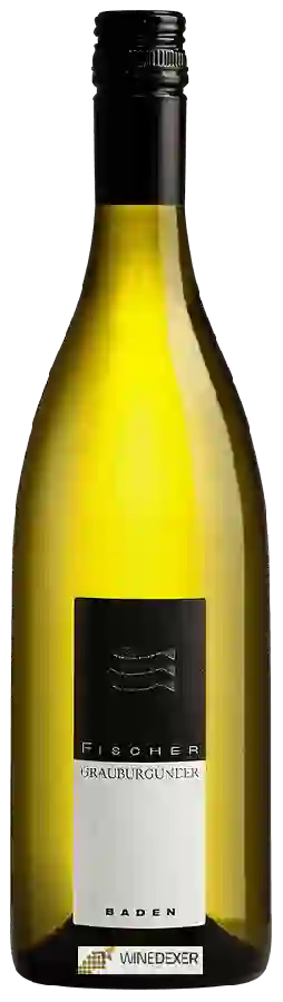Weingut Fischer - Grauburgunder Weingut Fischer - Grauburgunder