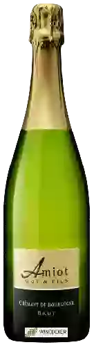 Weingut Amiot Guy - Crémant de Bourgogne Brut