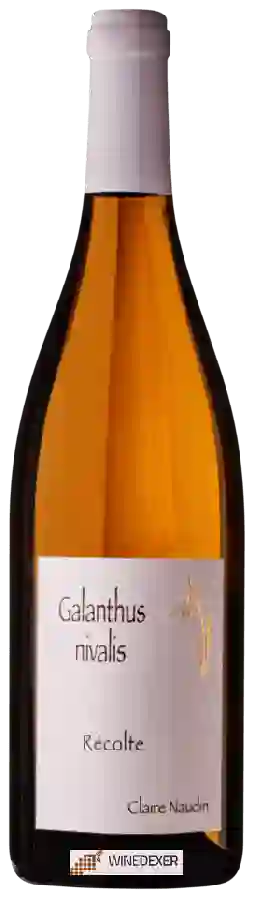 Weingut Henri Naudin-Ferrand - Galanthus Nivalis Weingut Henri Naudin-Ferrand - Galanthus Nivalis