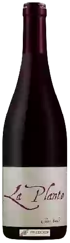 Weingut Henri Naudin-Ferrand - La Plante
