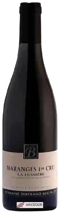 Domaine Jean-Louis Bachelet - Maranges 1er Cru 'La Fussière' Domaine Jean-Louis Bachelet - Maranges 1er Cru 'La Fussière'