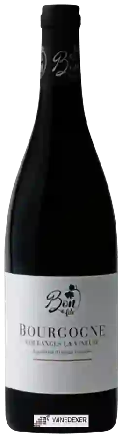 Domaine Jean-Marc Bon - Coulanges La Vineuse Bourgogne Pinot Noir