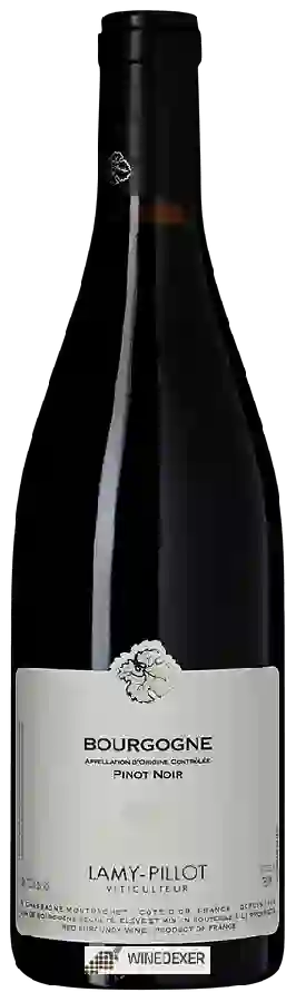 Weingut Lamy-Pillot - Bourgogne Pinot Noir