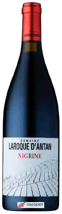 Domaine Laroque d'Antan - Nigrine Domaine Laroque d'Antan - Nigrine