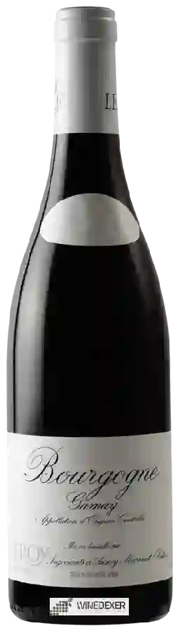 Weingut Leroy - Bourgogne Gamay Weingut Leroy - Bourgogne Gamay