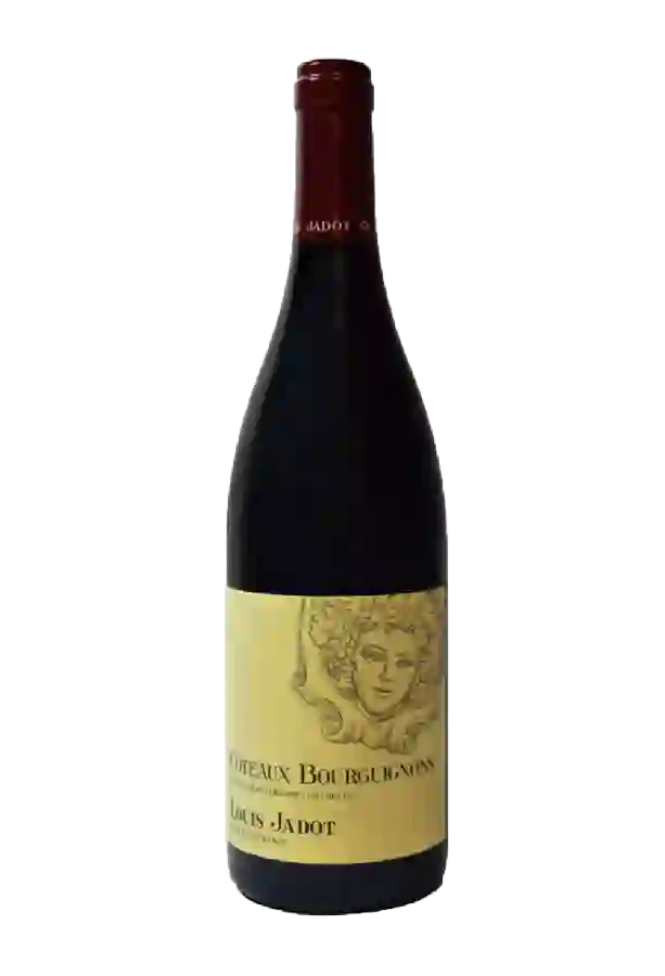 Weingut Leroy - Coteaux Bourguignons