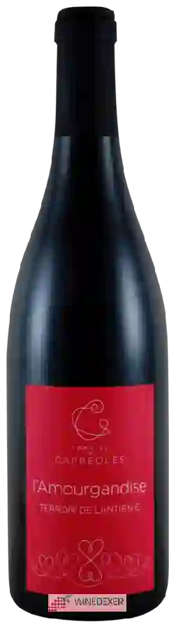 Domaine Les Capréoles - L'Amourgandise Terroir de Lantigné Domaine Les Capréoles - L'Amourgandise Terroir de Lantigné