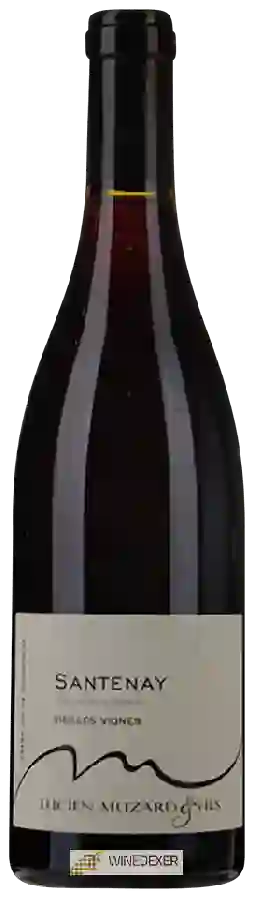 Weingut Lucien Muzard & Fils - Vieilles Vignes Santenay Weingut Lucien Muzard & Fils - Vieilles Vignes Santenay